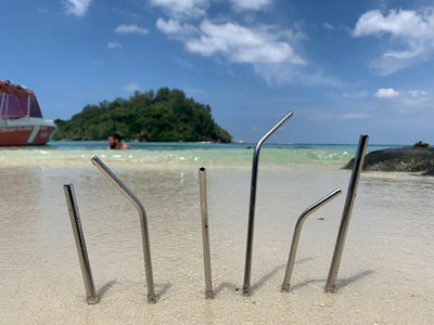 How to Clean Reusable Metal Straws in 5 Steps